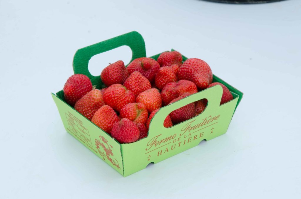 fraise--capela---dsc_7422_26935261591_o