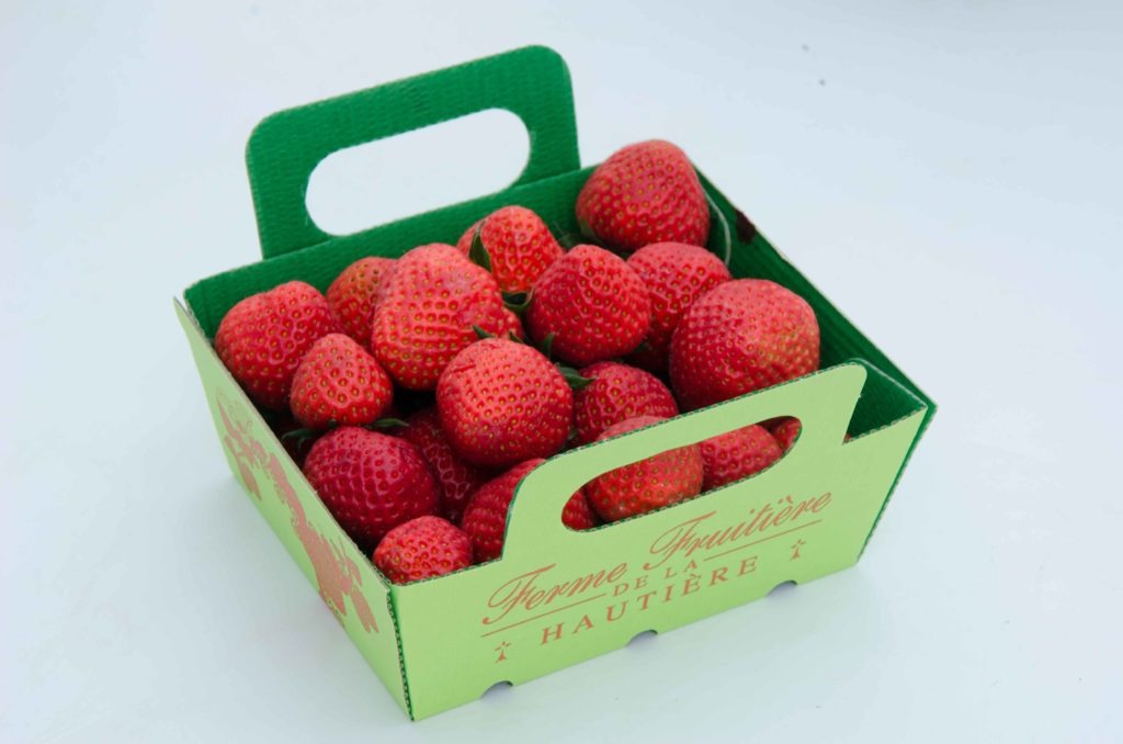 fraise-dely---dsc_7430_26935268141_o
