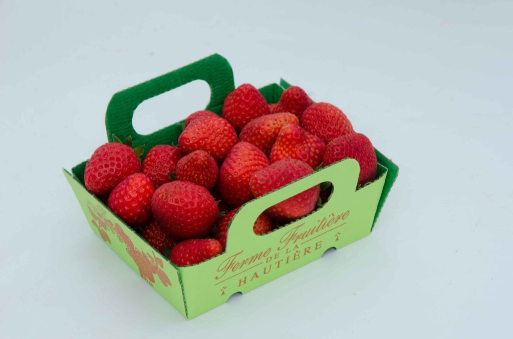 fraise-dream--dsc_7438_26909547122_o