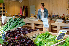 Magasin la ferme fruitière