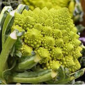 Chou romanesco